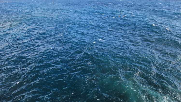 Nautical Harmony Collection