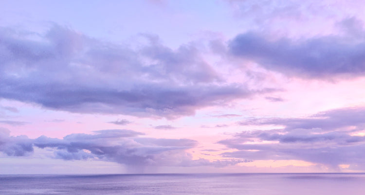 Morning Twilight Collection