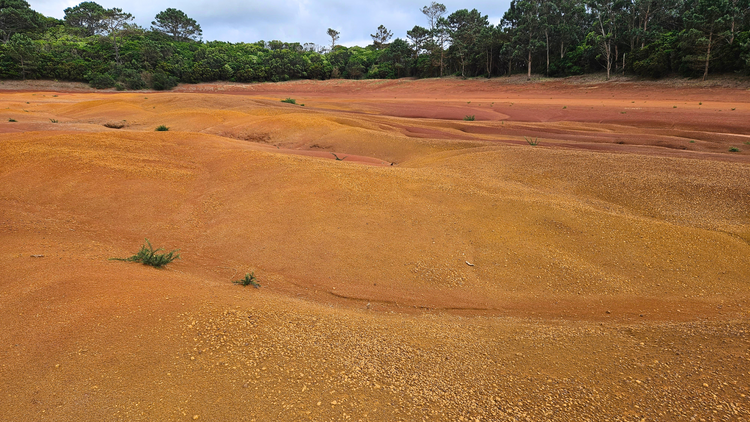 Deserto Vermelho Collection